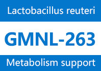 Lactobacillus reuteriGMNL-263