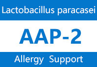 Lactobacillus paracasei AAP-2