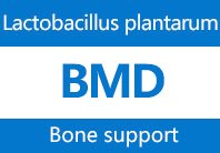 Lactobacillus plantarum BMD(GMNL-662)