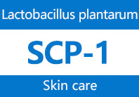 Lactobacillus plantarum SCP-1（GMNL-6）