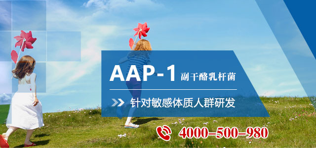 景岳AAP-1副干酪乳杆菌原料