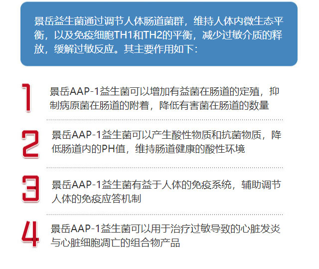 景岳AAP-1副干酪乳杆菌原料