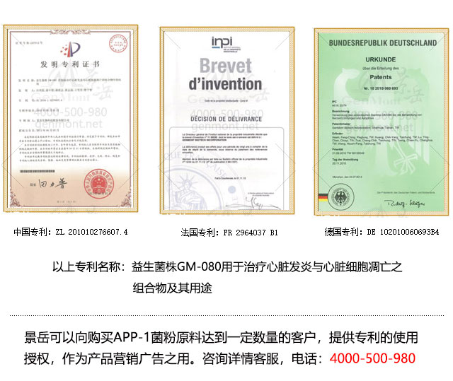 景岳AAP-1副干酪乳杆菌原料