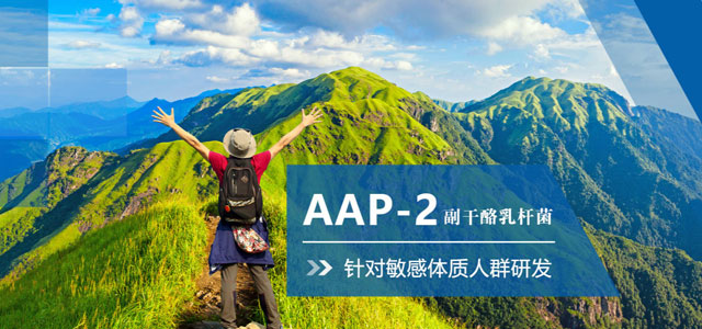 景岳AAP-2副干酪乳杆菌原料