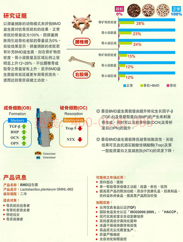 抗骨质疏松益生菌