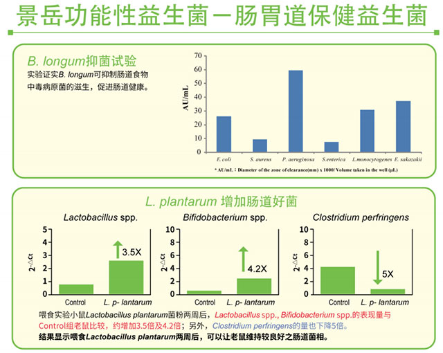 景岳肠道益生菌原料