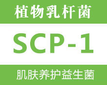 景岳益生菌SCP-1